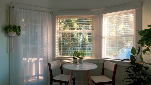 Motorised window blinds