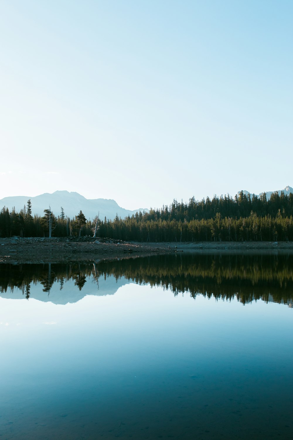 plan d’eau entre les arbres