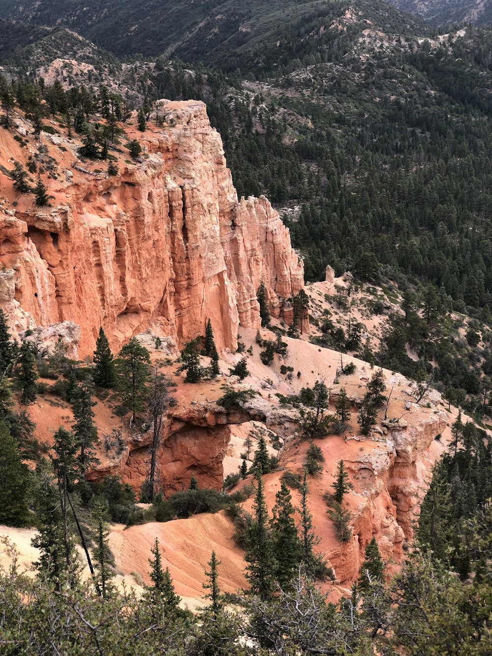 Montaña de acantilado rodeada de árboles de hojas verdes