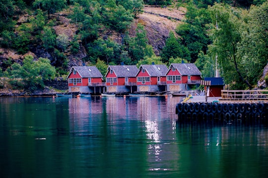 photo of Flåm Reservoir near Nærøyfjord