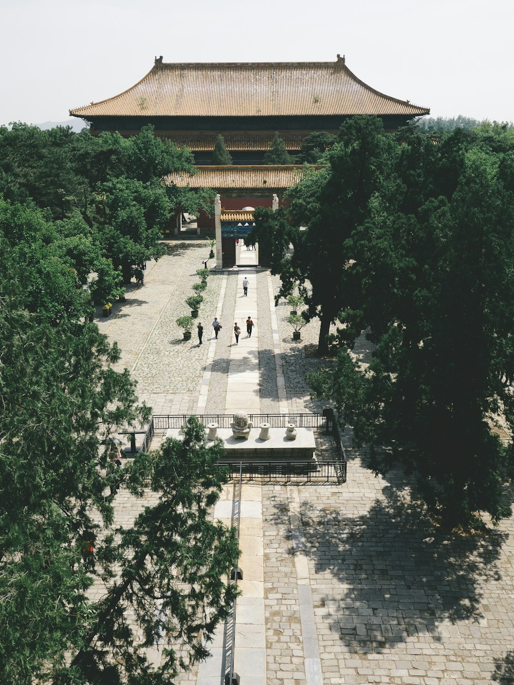 temple entouré d’arbres