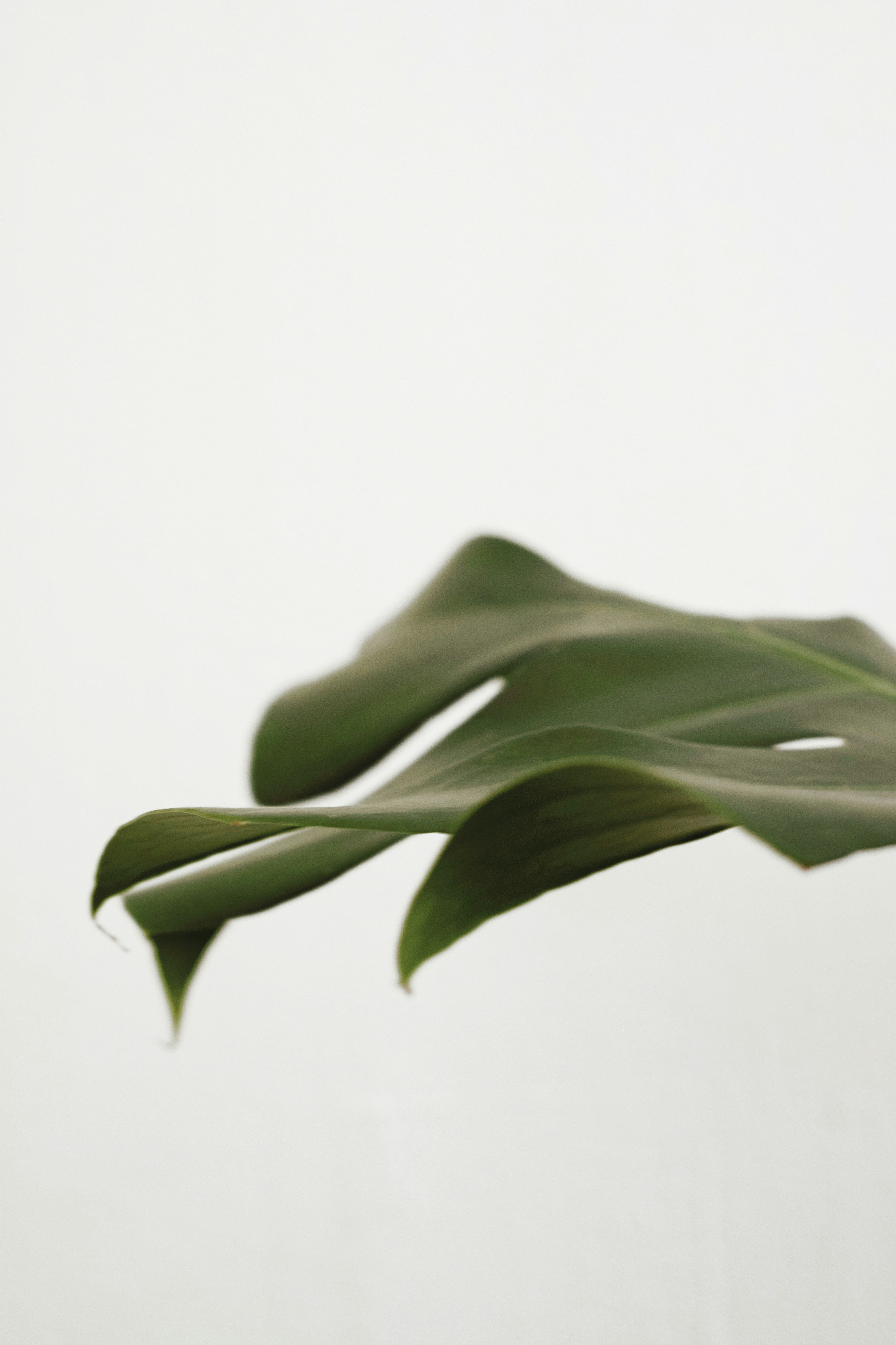 photo-1536643020148-8701fc4ae75f?ixlib=rb-1.2.1&ixid=eyJhcHBfaWQiOjEyMDd9&auto=format&fit=crop&w=934&q=80