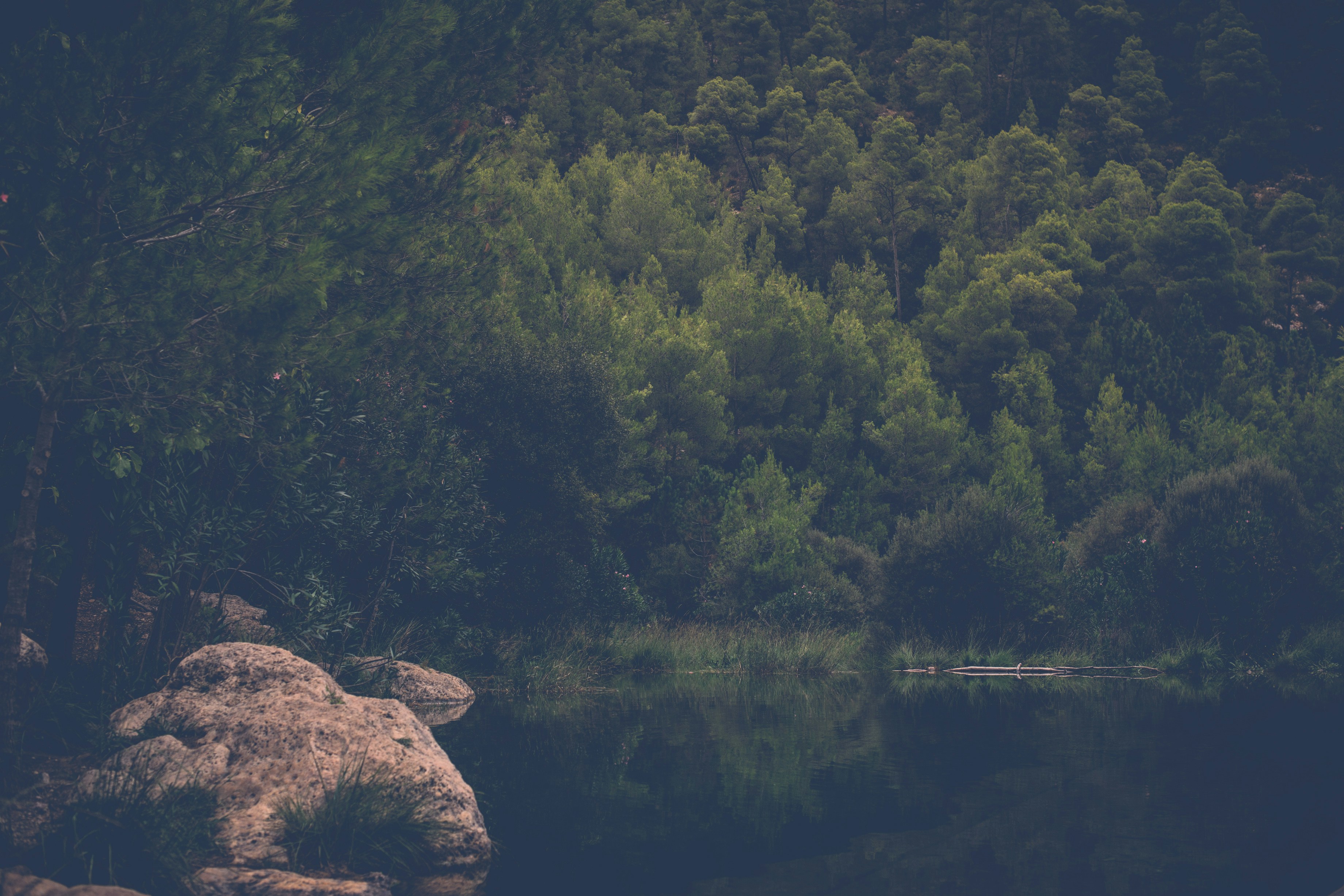 Photo by tonibenlliure