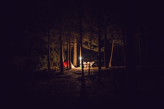 red camping tent under trees at night time