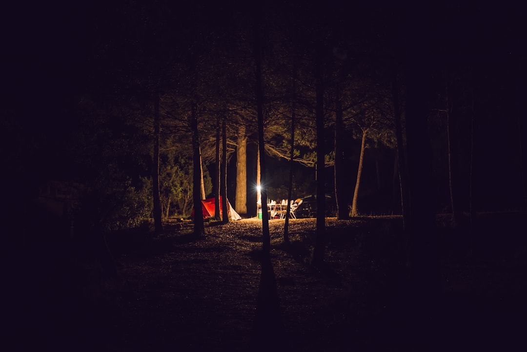 red camping tent under trees at night time,