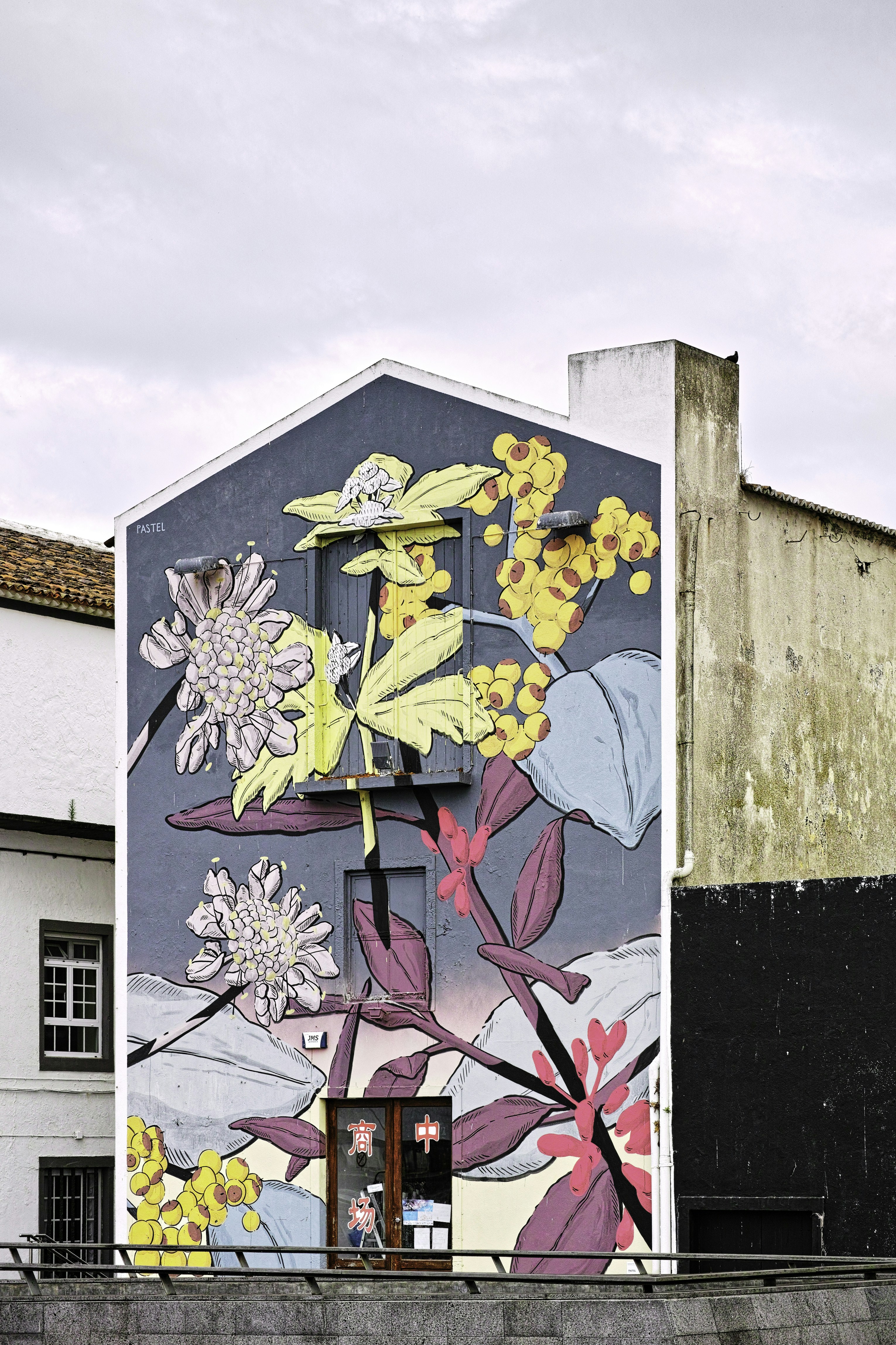 Wallart Pictures Download Free Images On Unsplash