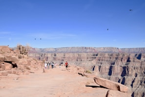 Tour group admiring the winding trails along the Grand Canyon rim