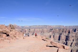 Tour group admiring the winding trails along the Grand Canyon rim