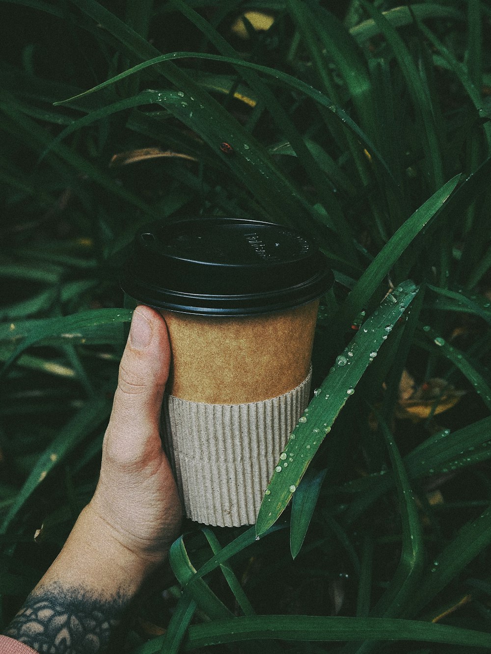 brown disposable cup