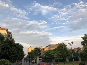2D drawing of happy neighbors walking and chatting near shared electric vehicles.