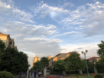 2D drawing of happy neighbors walking and chatting near shared electric vehicles.