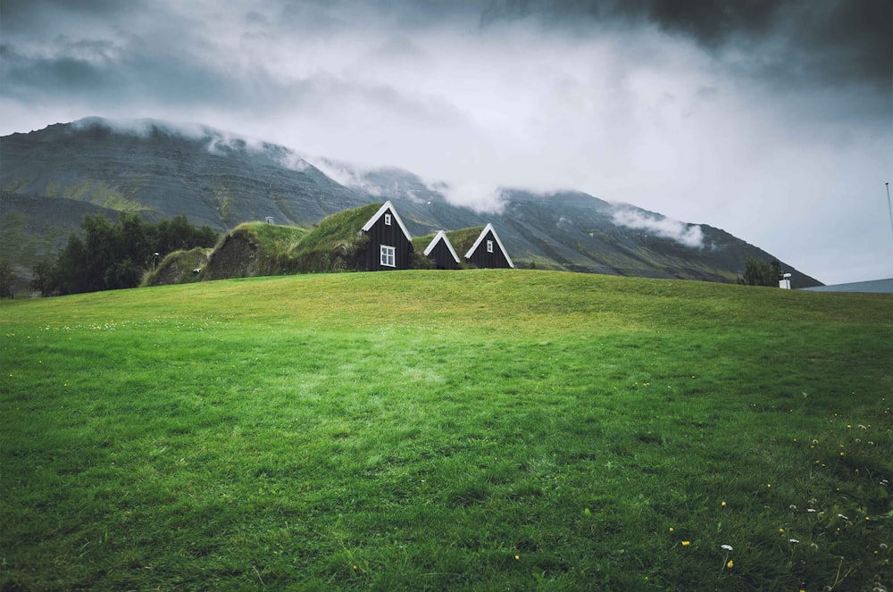 Casa verde no campo de grama verde