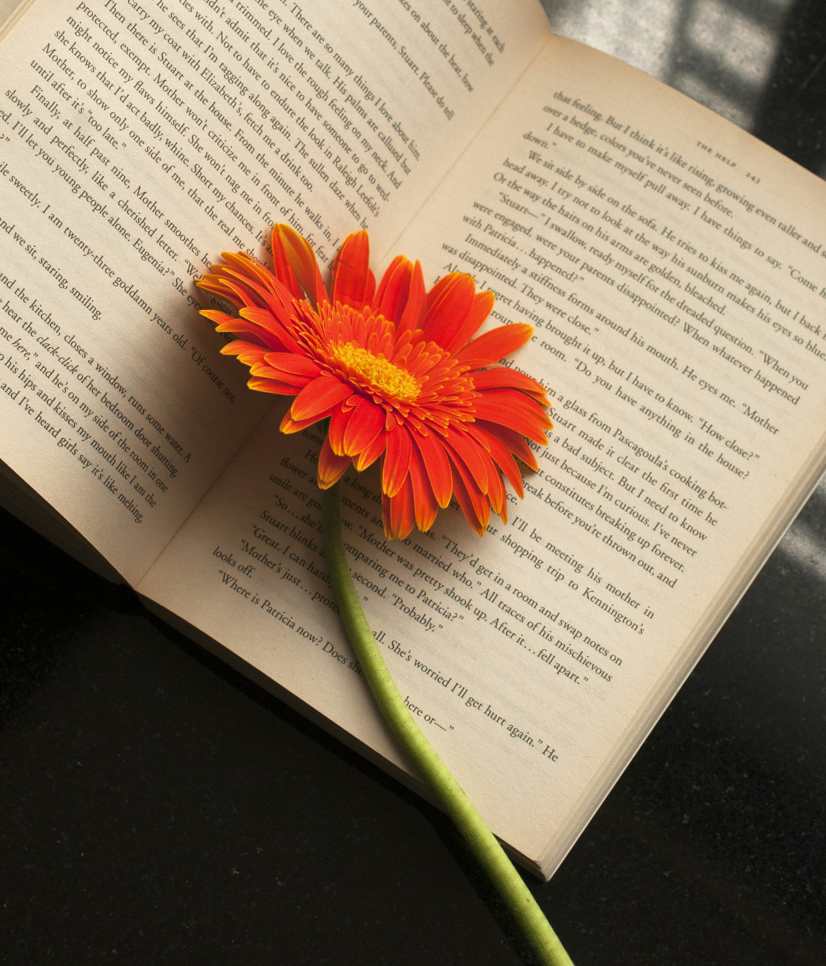 Free Mumbai Image On Unsplash