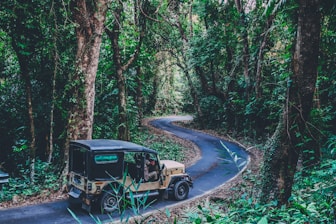 brown vehicle surrounded by trees