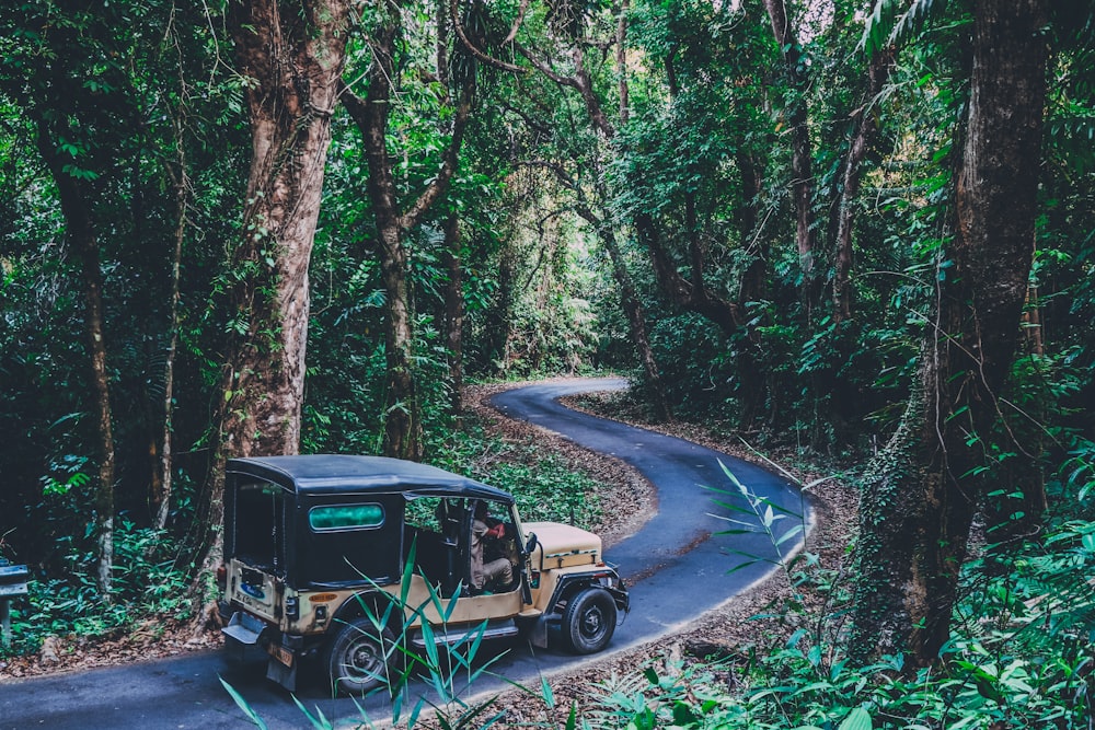 brown vehicle surrounded by trees