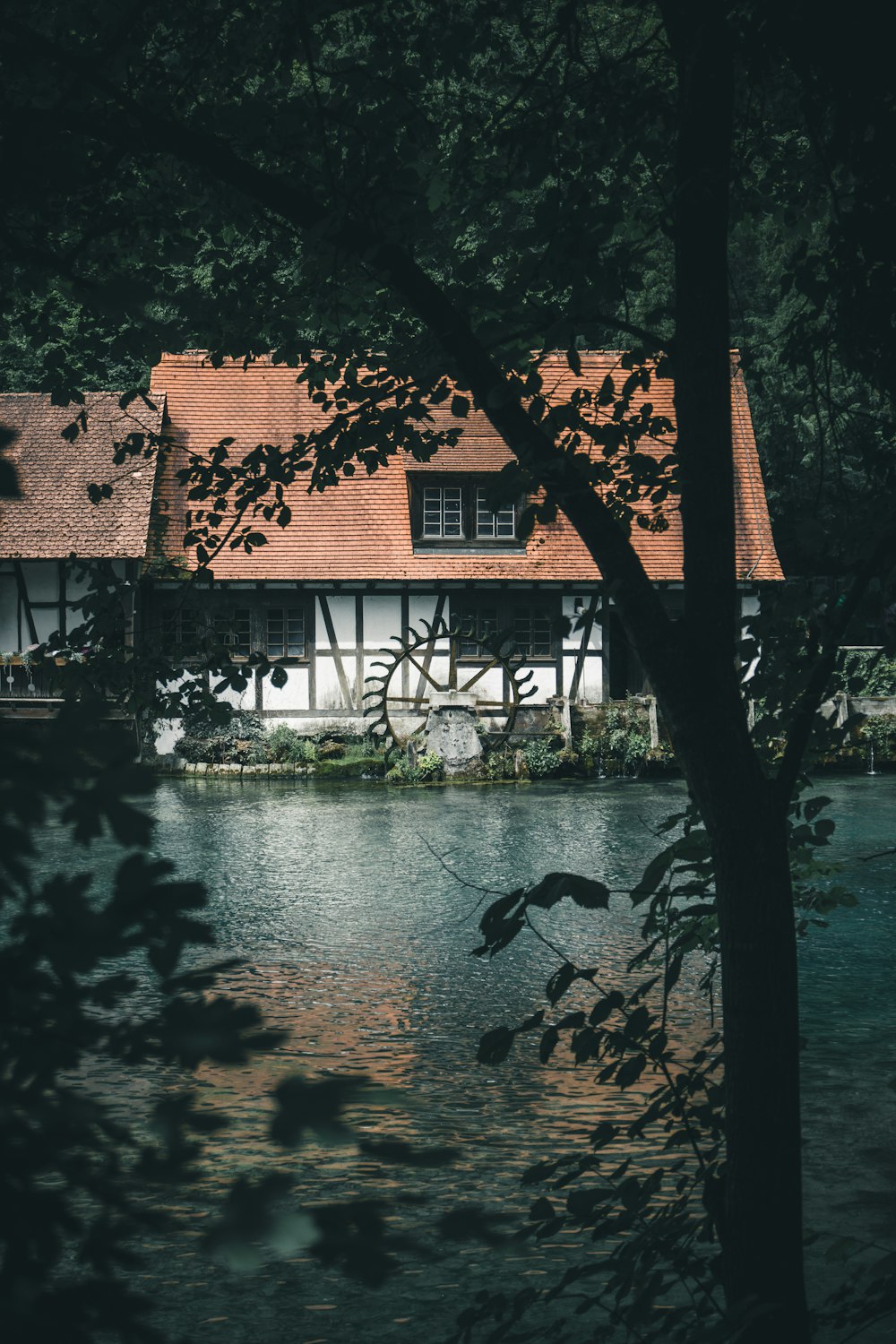 river between house and trees