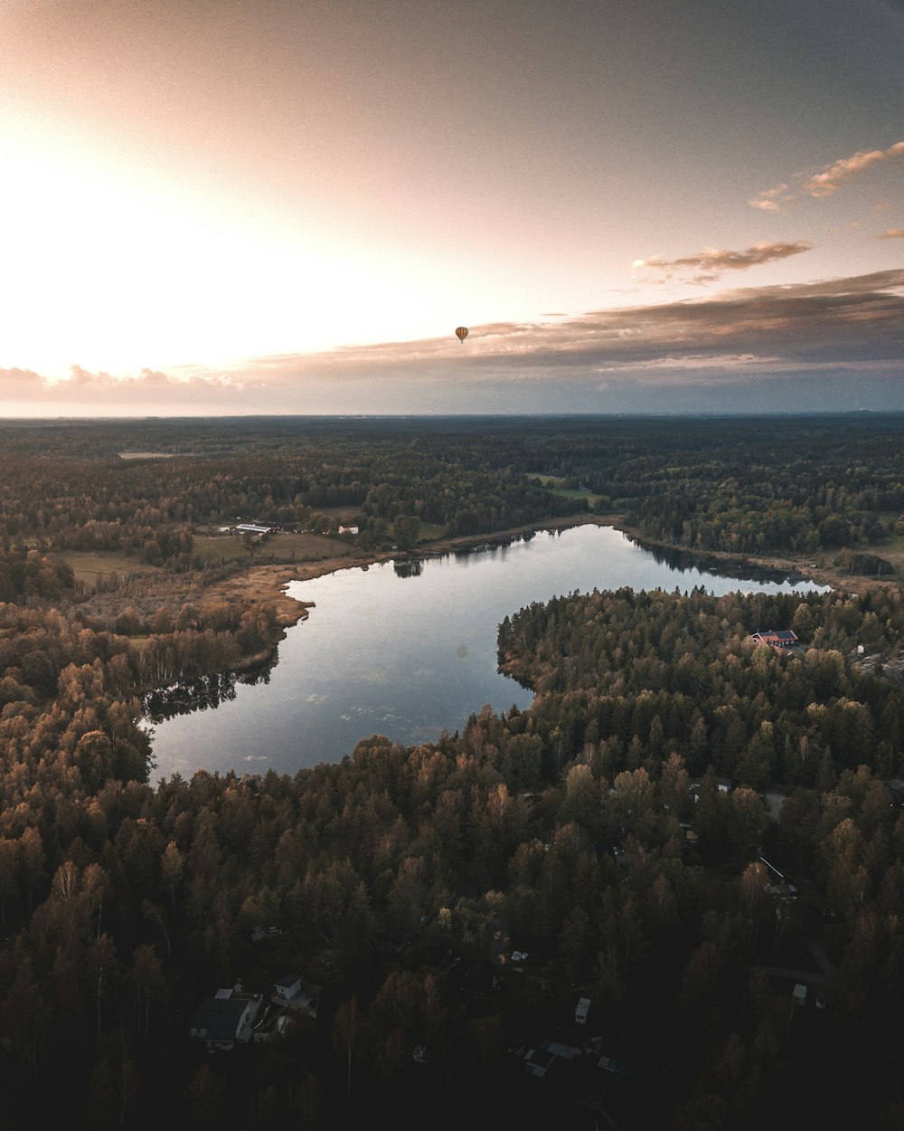 body of water surrounded by trees