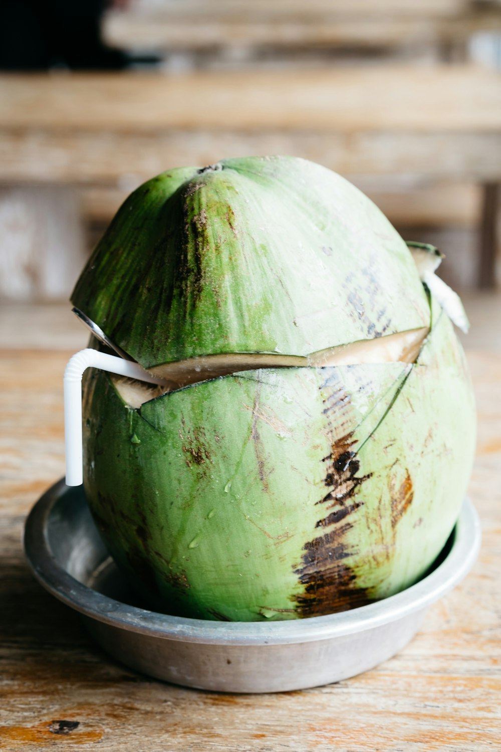 그릇에 코코넛 나무