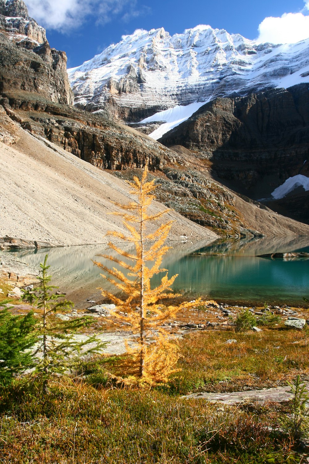 view of mountain with lake