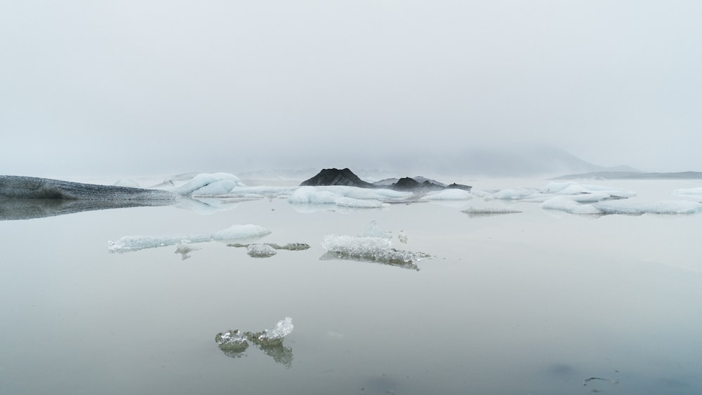 body of water surrounded by ice