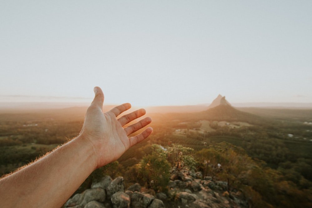 person showing aerial photo of forest during sunrise