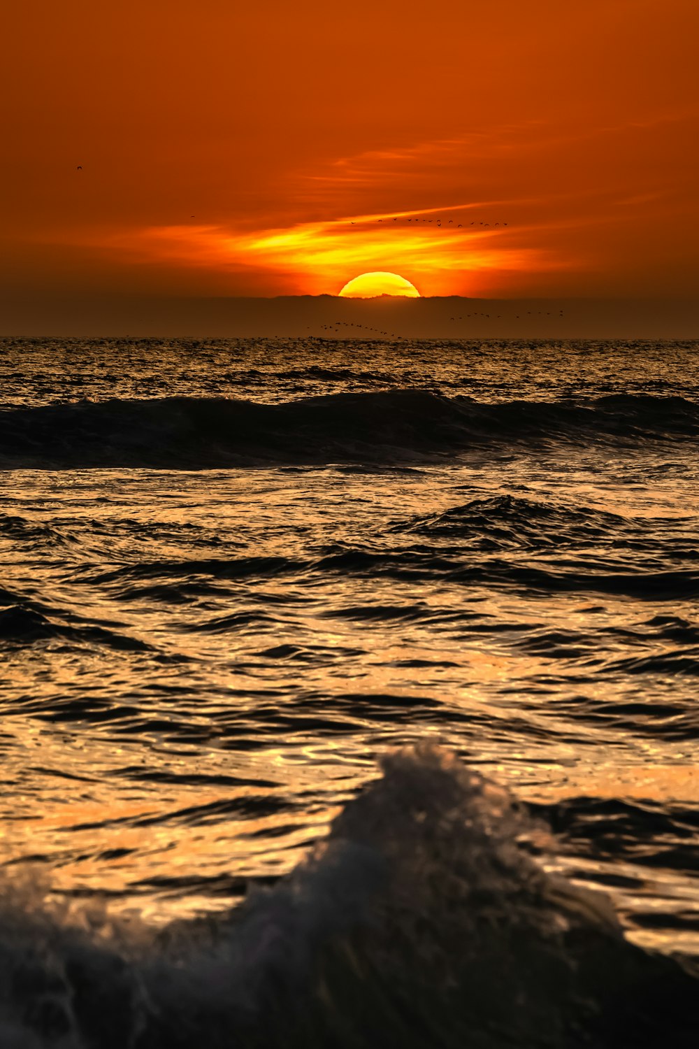 body of water during sunset