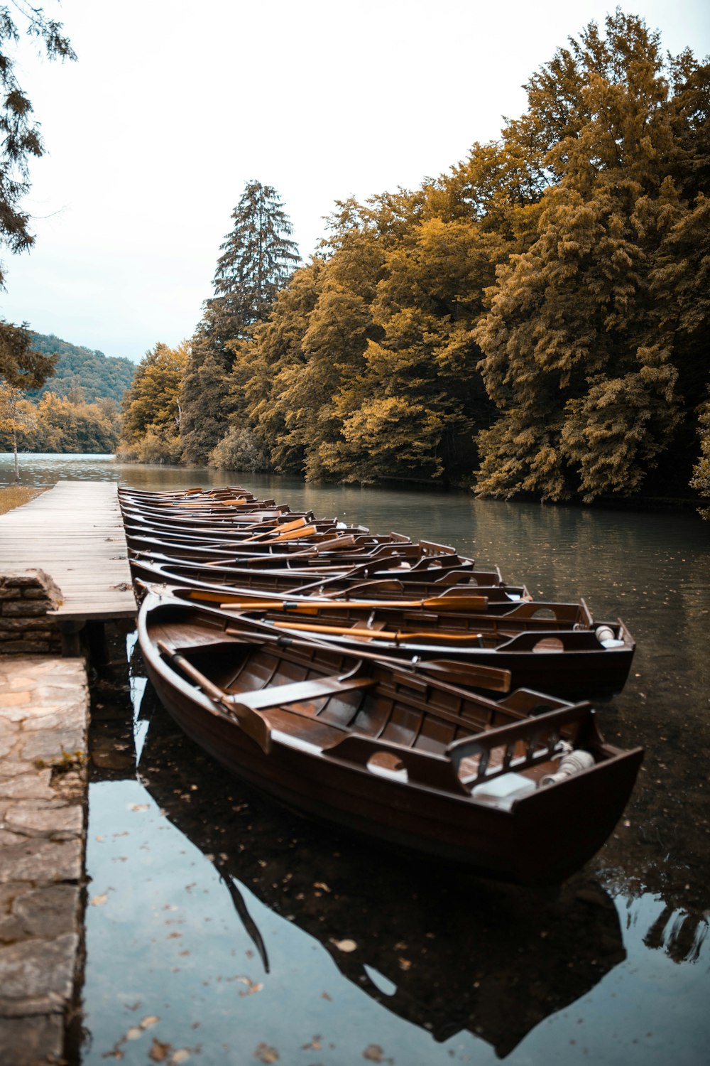 brown boats near brown dock