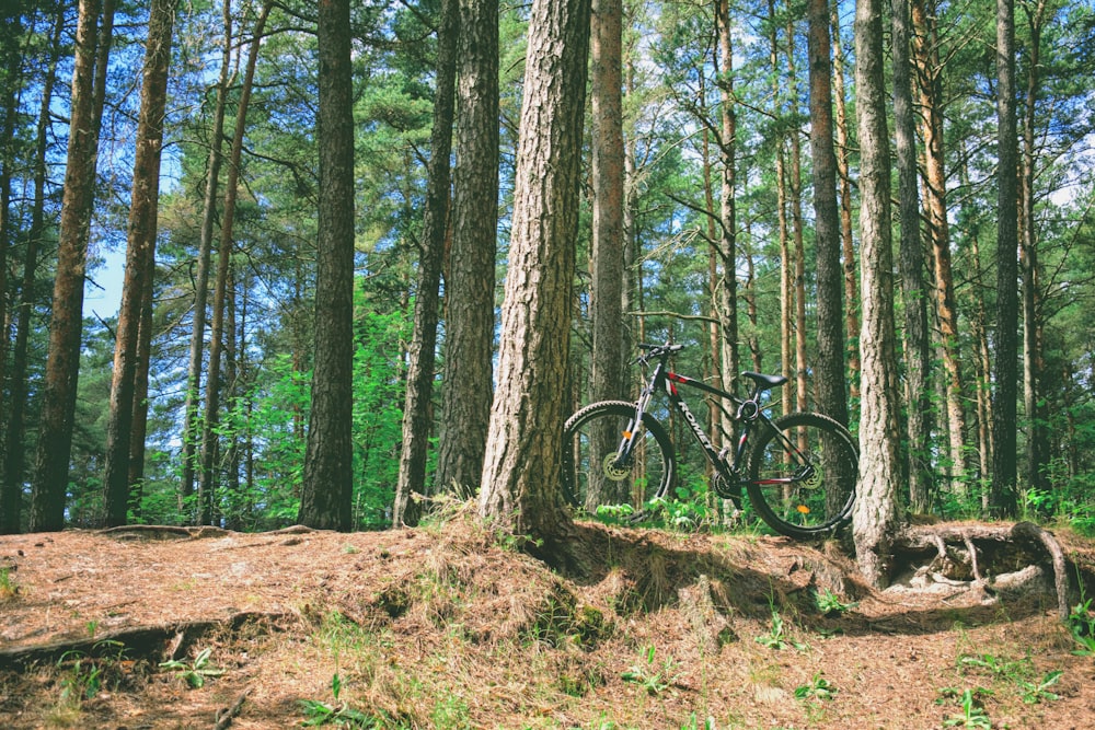 Bicicleta de montaña negra en el bosque