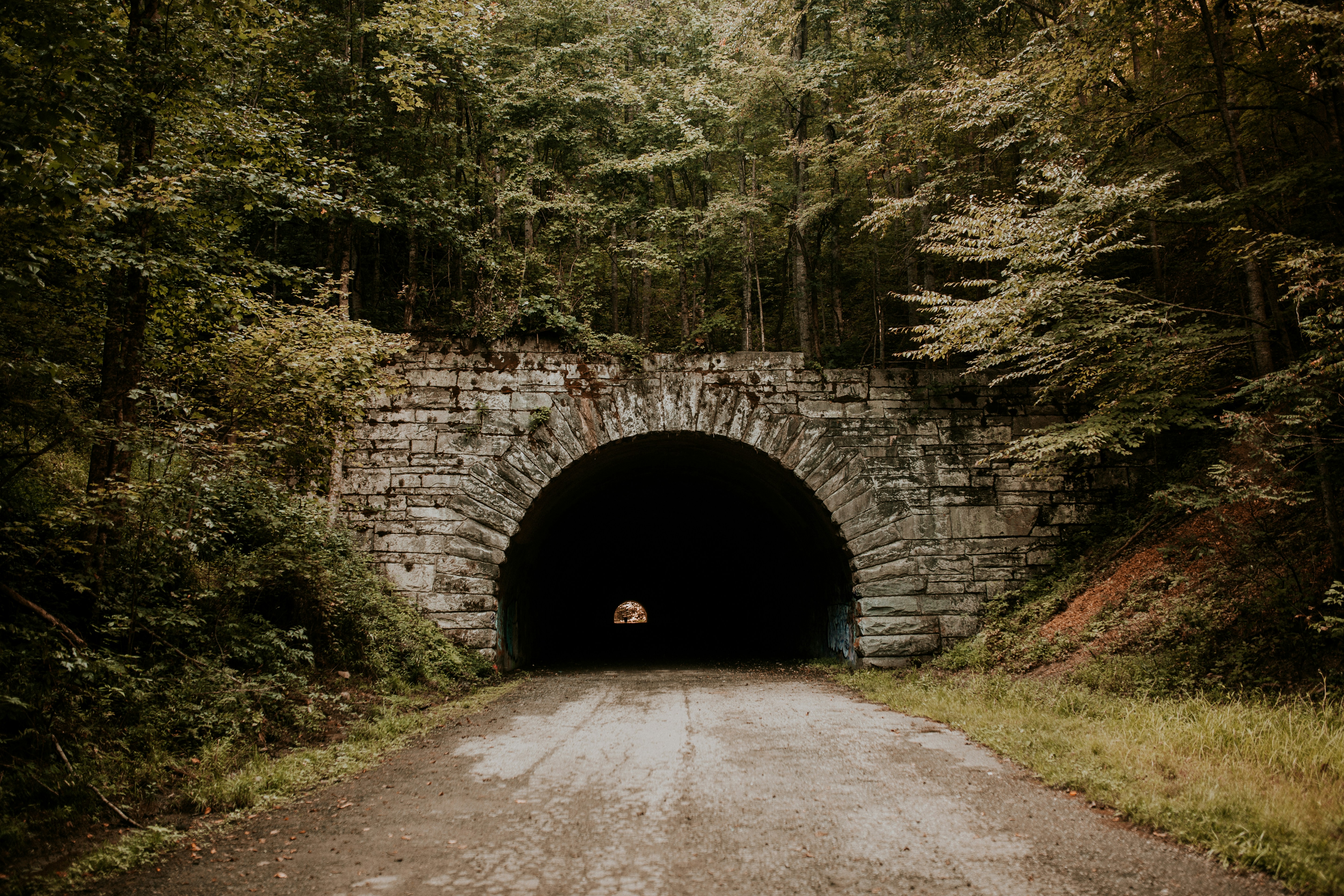 תרפיה ממוקדת-פתרון (Solution Focused Therapy – SFT): מבוא