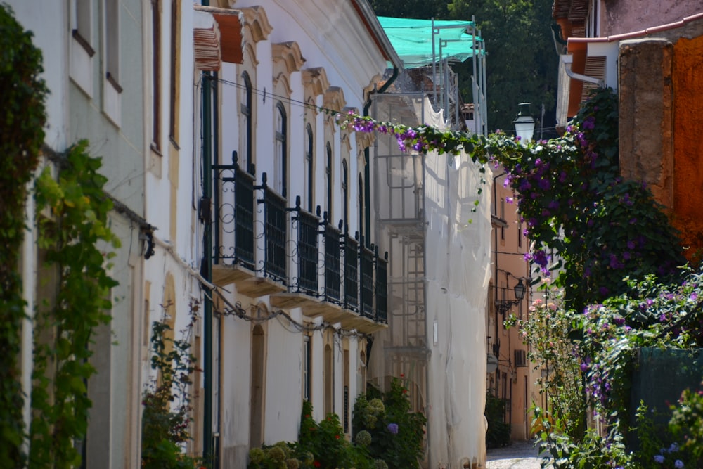 caminho entre edifícios concretos