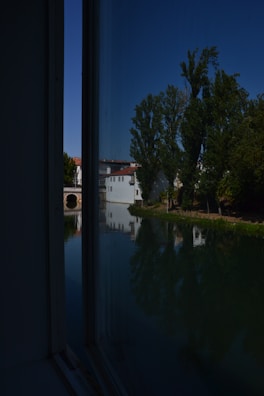 A serene moment of reflection captured through a window overlooking a tranquil garden.