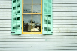 A playful cat lounging on a windowsill.