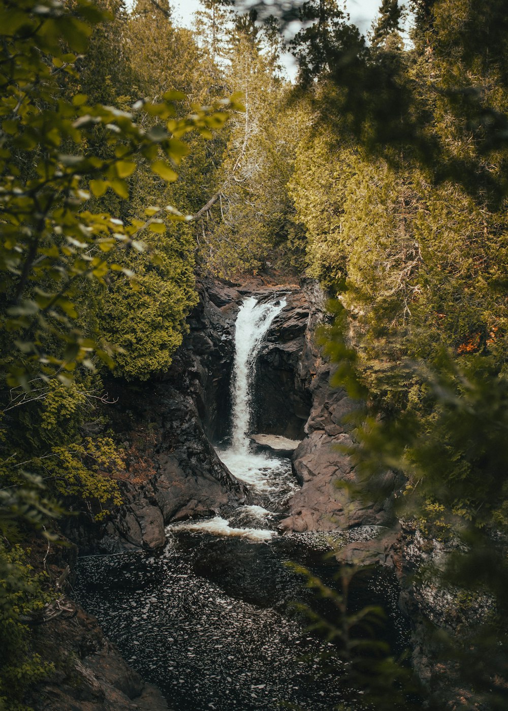 waterfalls surrounded with plants