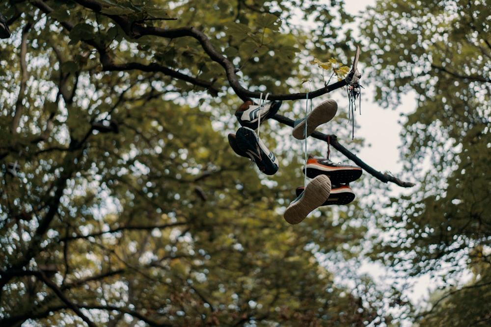 木の上の靴のマクロ撮影