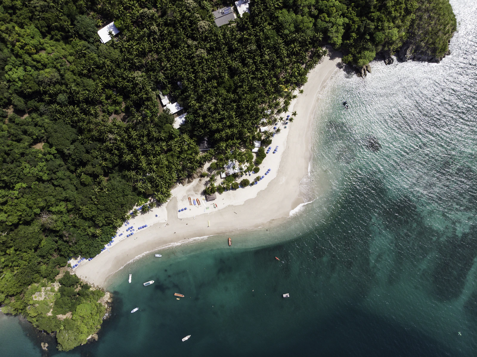 Pacific beach surrounded by tropical forest in Costa Rica