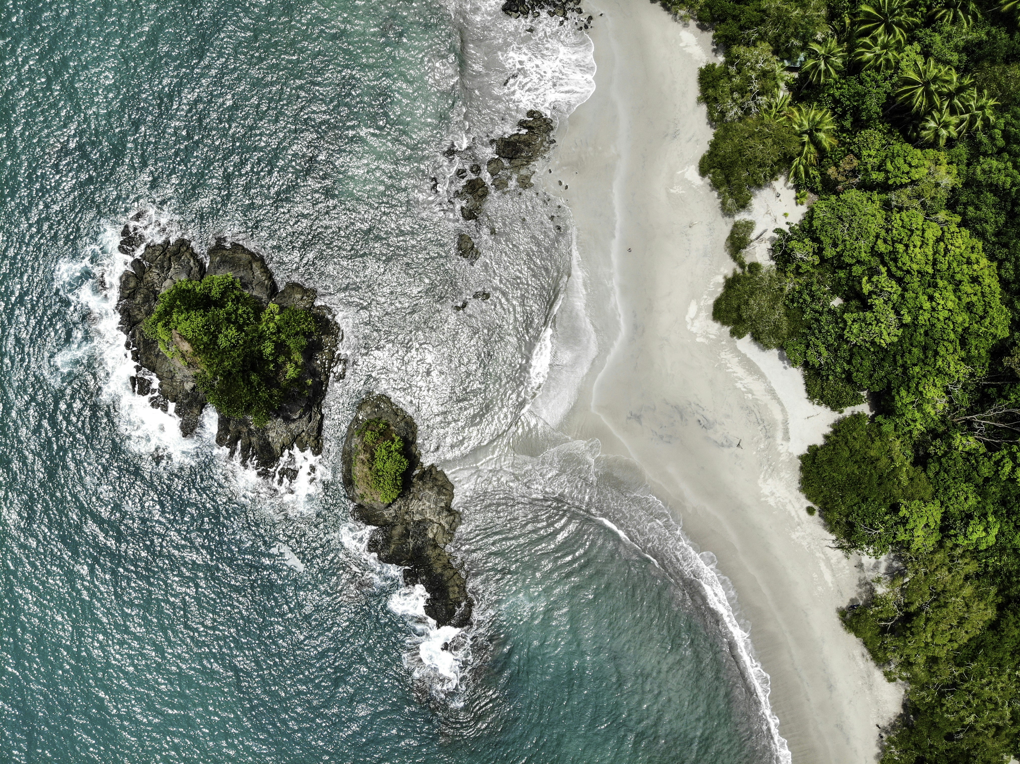 Manuel Antonio travel photo