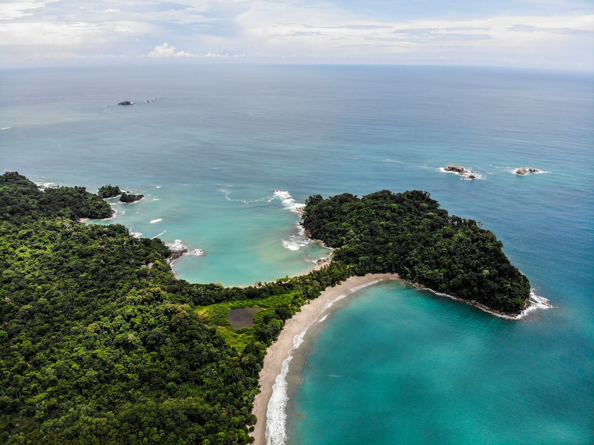 Aerial view of lush green bluff in a T shape surrounded by pristine blue ocean