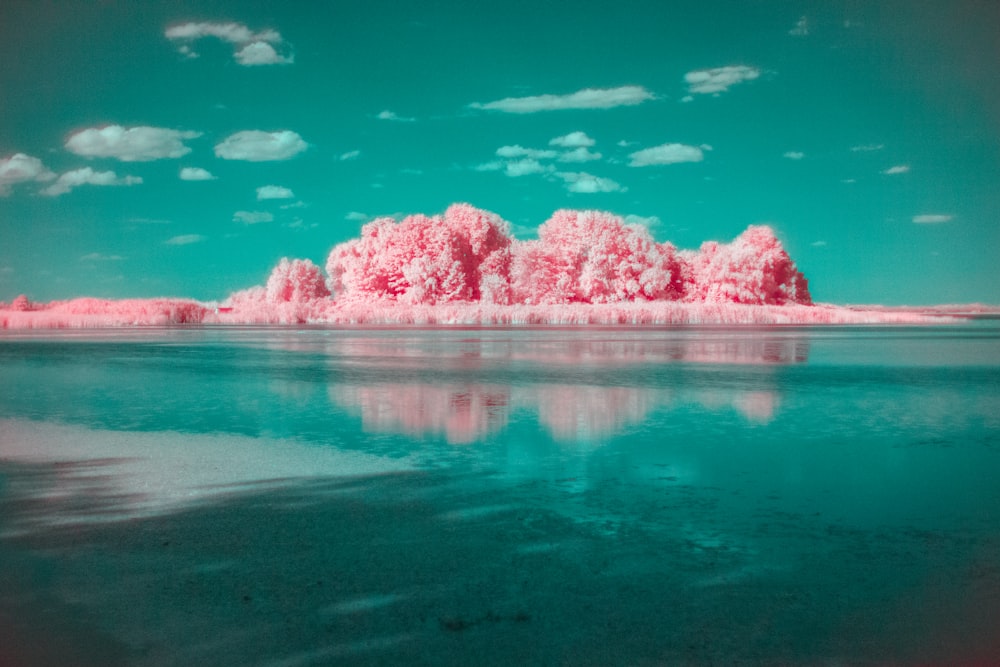 穏やかな水域の上のピンクの雲の形成