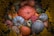 A variety of pumpkins and gourds arranged in a decorative display, surrounded by clusters of small, yellow flowers. The pumpkins vary in color and texture, including deep orange, pale blue-gray, and mixed patterns. The scene evokes an autumnal theme.