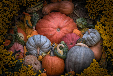 squash lot