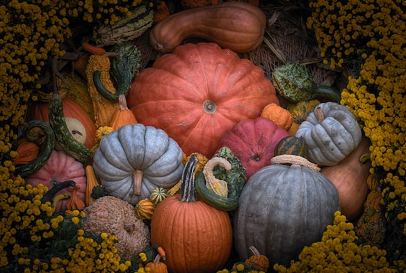 A variety of pumpkins and gourds arranged in a decorative display, surrounded by clusters of small, yellow flowers. The pumpkins vary in color and texture, including deep orange, pale blue-gray, and mixed patterns. The scene evokes an autumnal theme.