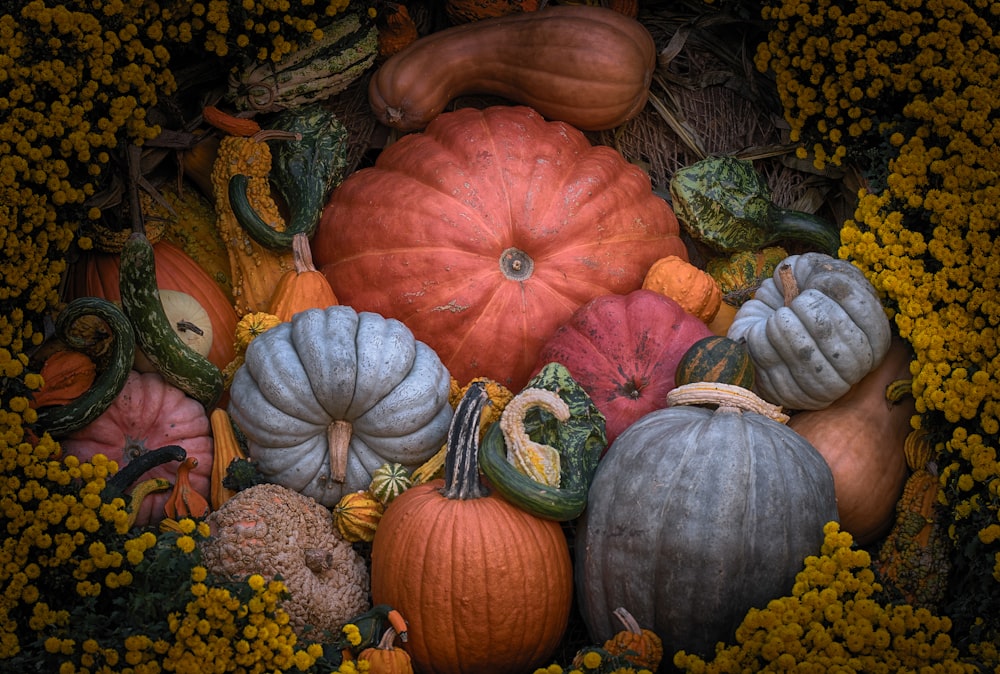 squash lot