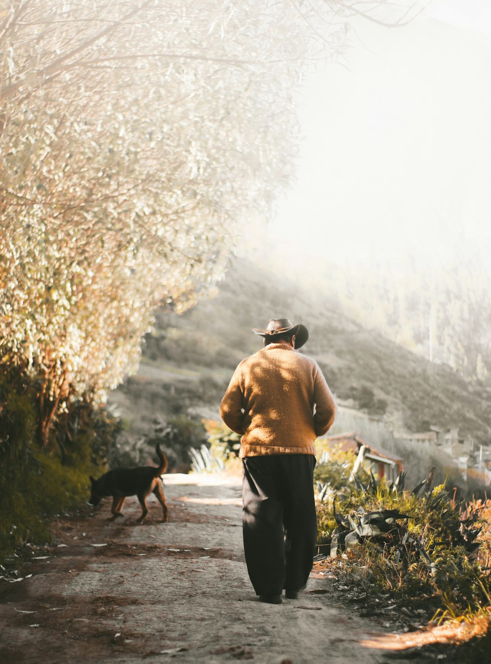 homme portant un chandail brun marchant sur le terrain près du chien