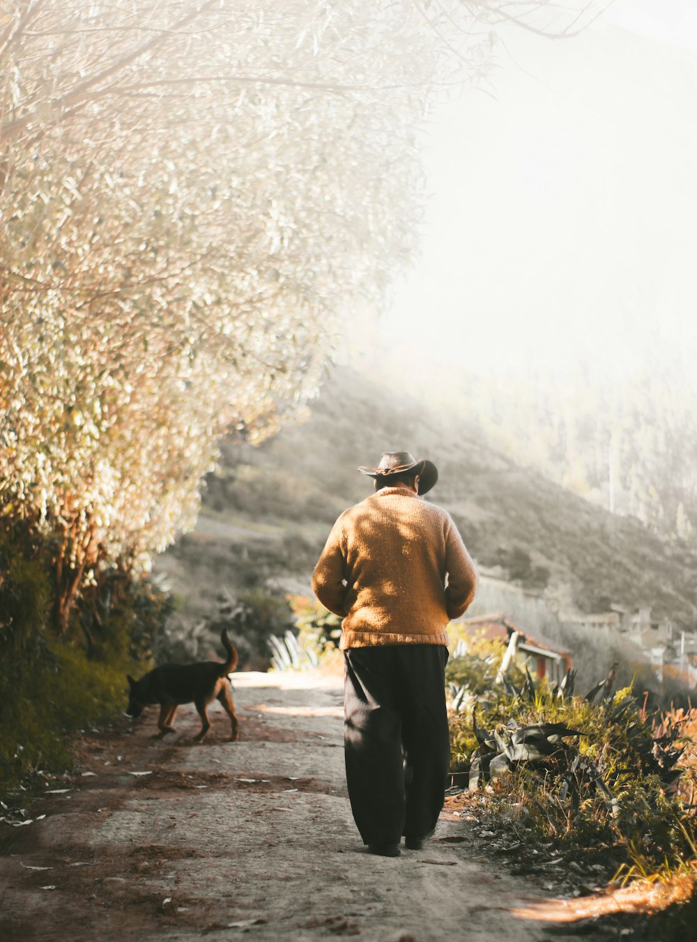 hombre con suéter marrón caminando en el campo cerca del perro