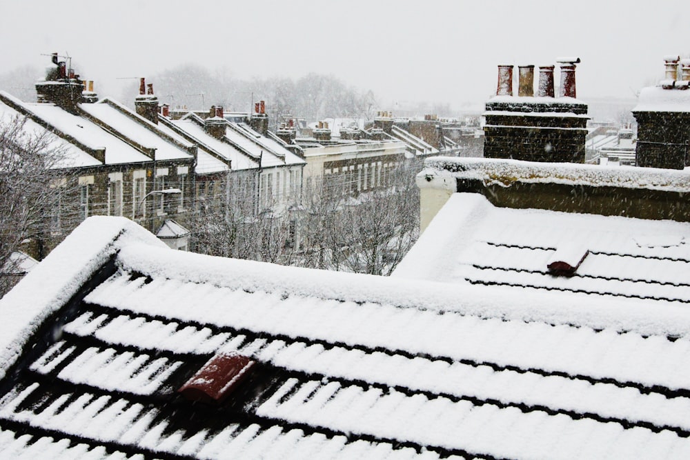 snow covered house roofs at daytime