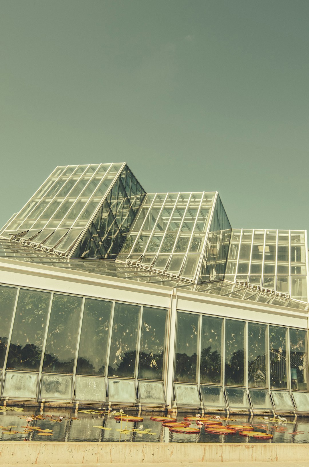 glass building under gray sky