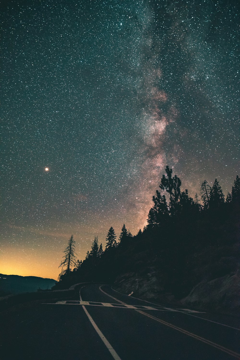 trees under starry night