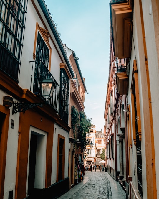 low angle photo of brown and white concrete buildings in Sevilla Spain