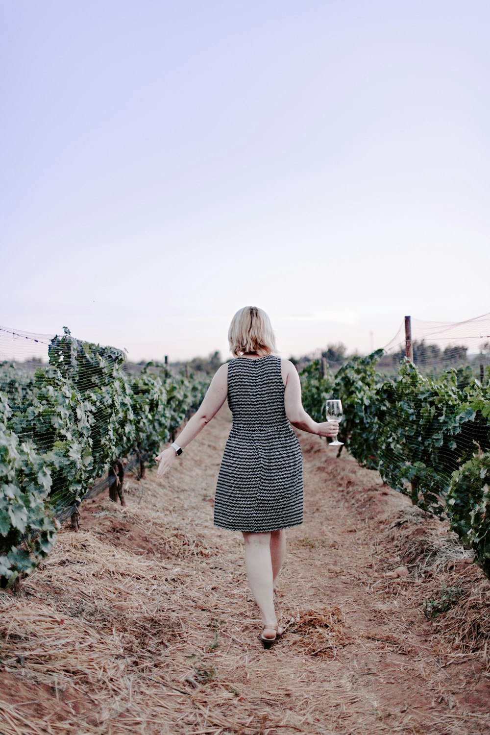 femme marchant sur le vignoble tenant un verre de vin