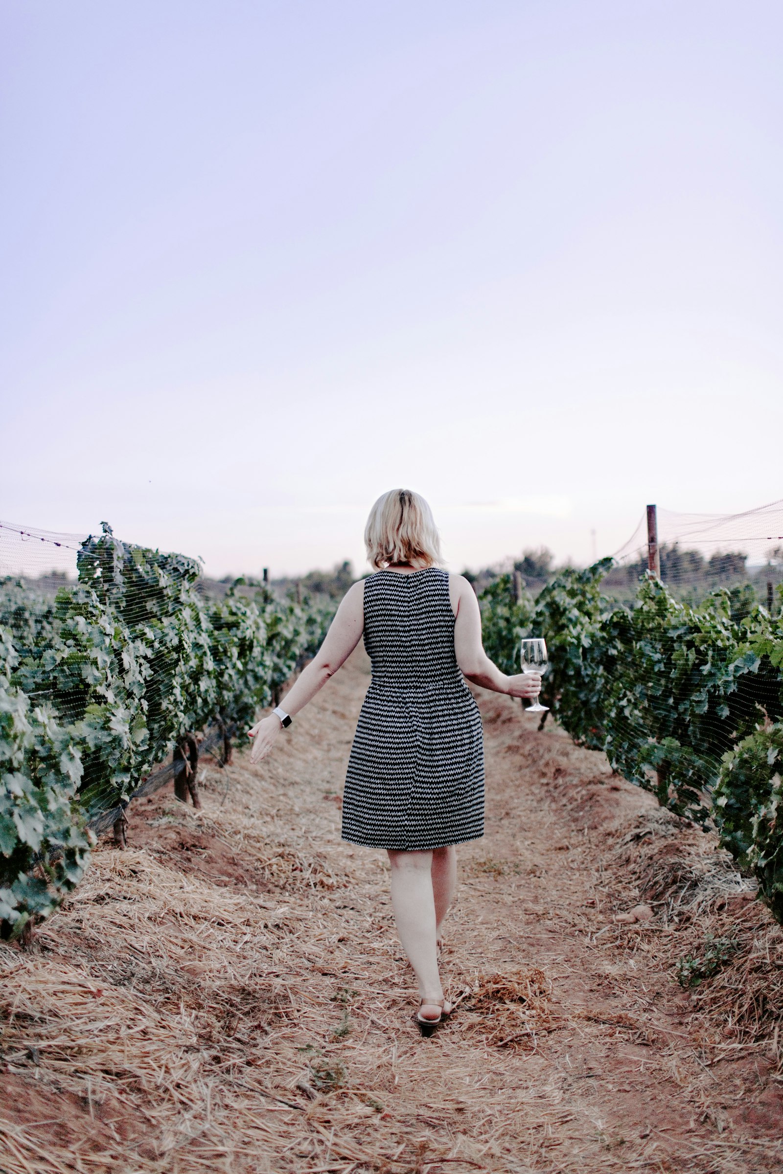 Canon EOS 5D Mark II + Canon EF 35mm F1.4L USM sample photo. Woman walking on vineyard photography